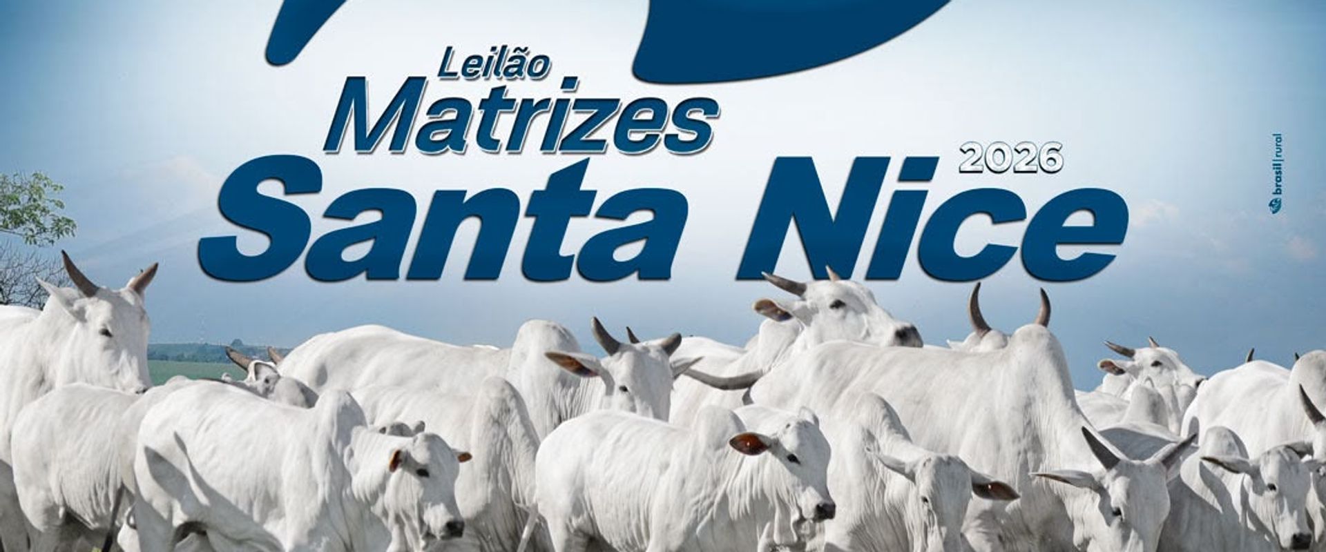 Leilão Matrizes Santa Nice 2026
