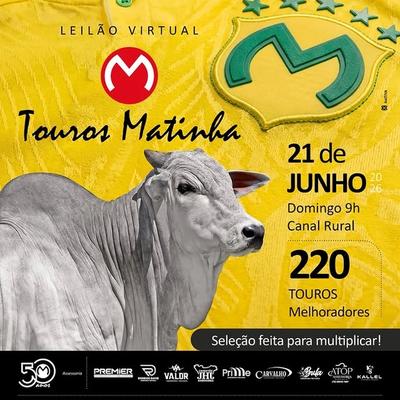 Leilão Virtual Touros Matinha - Foto 1