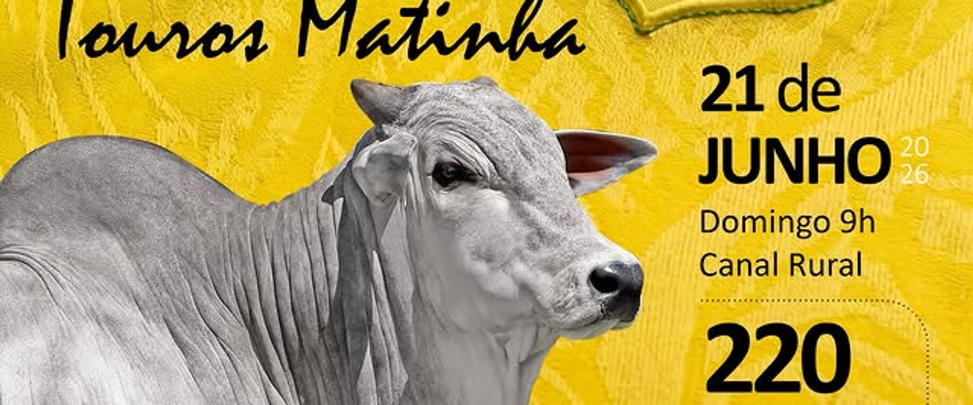 Leilão Virtual Touros Matinha