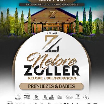 Leilão Nelore Zoller - Prenhezes & Babies  - Foto 2
