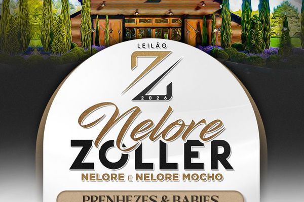 Leilão Nelore Zoller - Prenhezes & Babies 