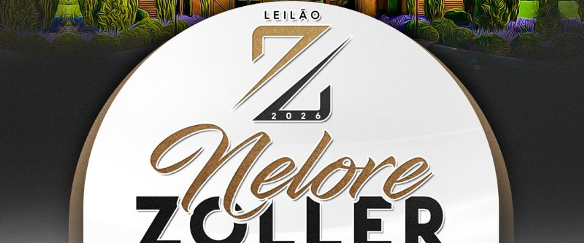 Leilão Nelore Zoller - Prenhezes & Babies 