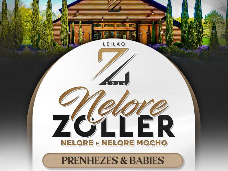 Leilão Nelore Zoller - Prenhezes & Babies