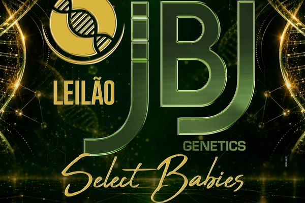 Leilão JBJ Genetics Select Babies