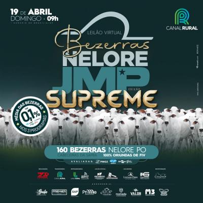 Leilão Virtual Bezerras Nelore JMP - Edição Supreme - Foto 1