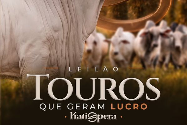 Leilão Touros que Geram Lucro - Katispera
