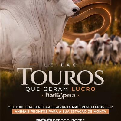 Leilão Touros que Geram Lucro - Katispera - Foto 1