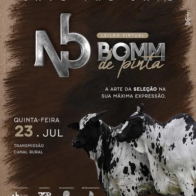 Leilão Virtual Bomm de Pinta - Nelore BOMM - Foto 1
