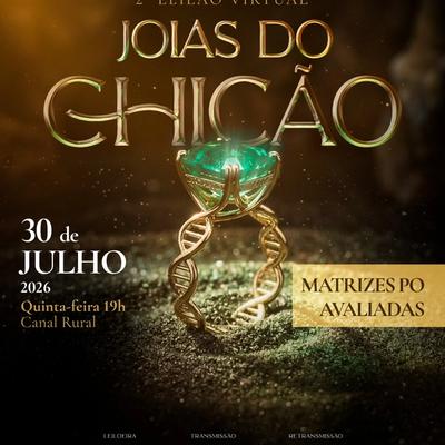 2° Leilão Virtual Joias do Chicão - Foto 1