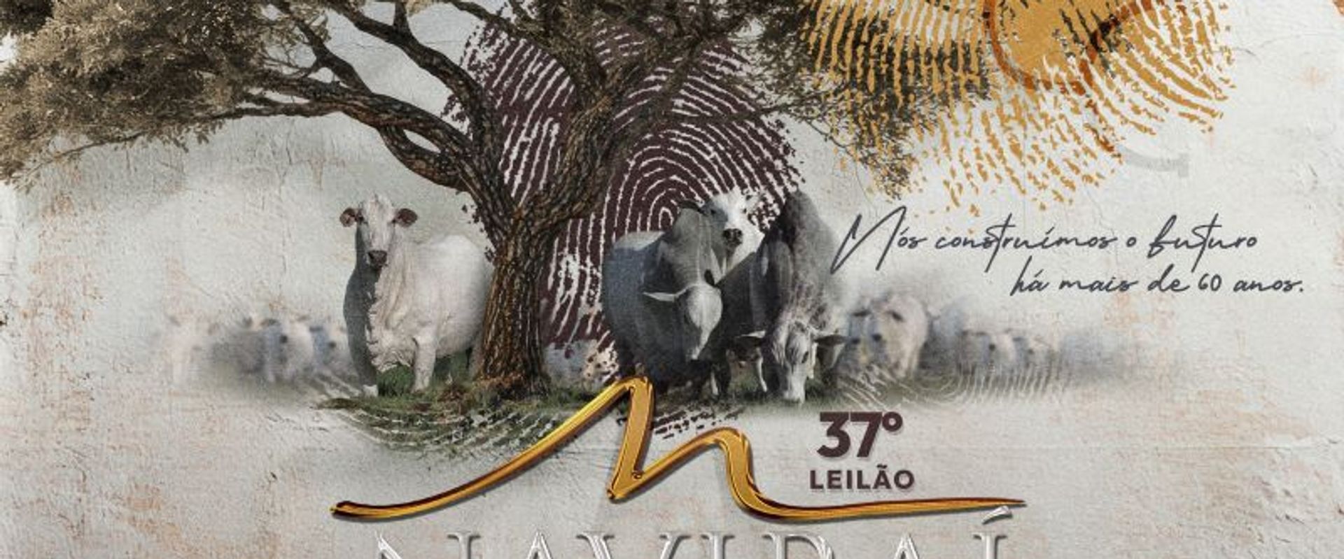 37° Leilão Naviraí - Expozebu 2026
