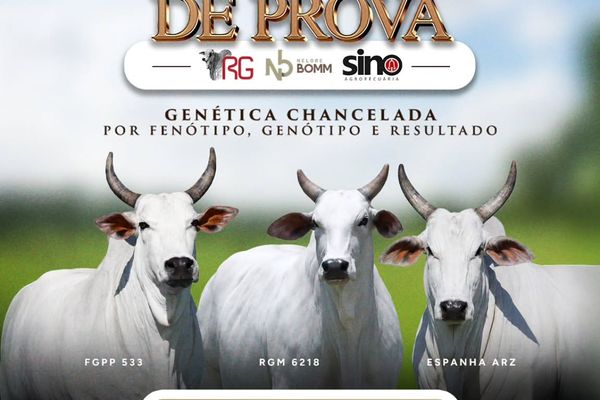 Leilão Elo de Prova - ExpoGenética 2026