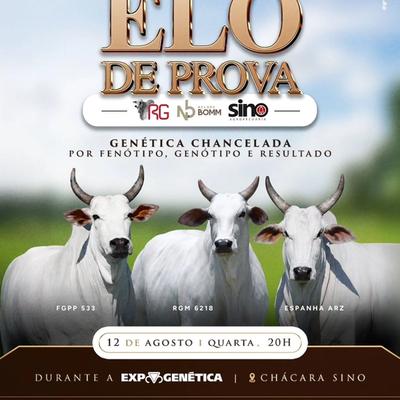 Leilão Elo de Prova - ExpoGenética - Foto 1