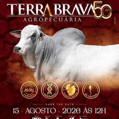 Leilão Presencial Touros – Edição ExpoGenética 2026 - Foto 1