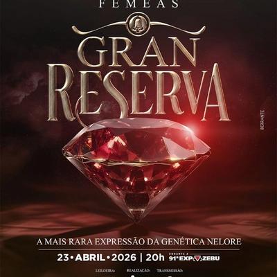 VI Leilão Fêmeas Gran Reserva - Sino Agropecuária - Foto 1