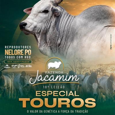 10º Leilão Especial Touros Fazenda Jacamim - Foto 1