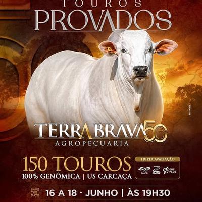 Leilão Touros Provados 2ª Etapa - Terra Brava Agropecuária - Foto 1