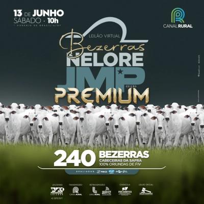 Leilão Bezerras Nelore JMP Edição Premium - Foto 1