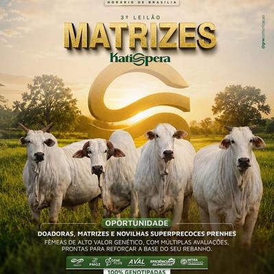 3° Leilão Matrizes Katispera - Foto 1