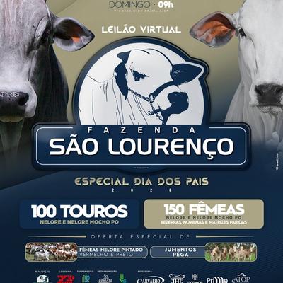 Leilão Virtual Fazenda São Lourenço - Especial Dia dos Pais - Foto 1