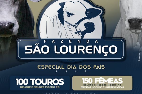 Leilão Virtual Fazenda São Lourenço - Especial Dia dos Pais
