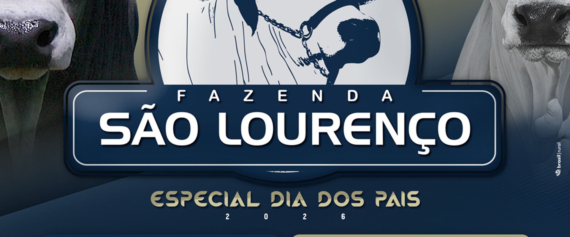 Leilão Virtual Fazenda São Lourenço - Especial Dia dos Pais