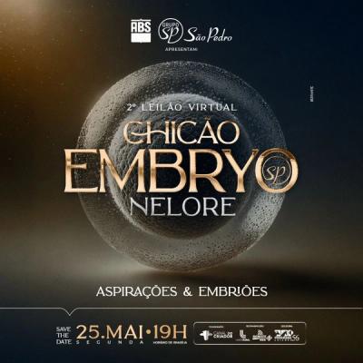 2º Leilão Virtual Chicão Embryo Nelore - Foto 1