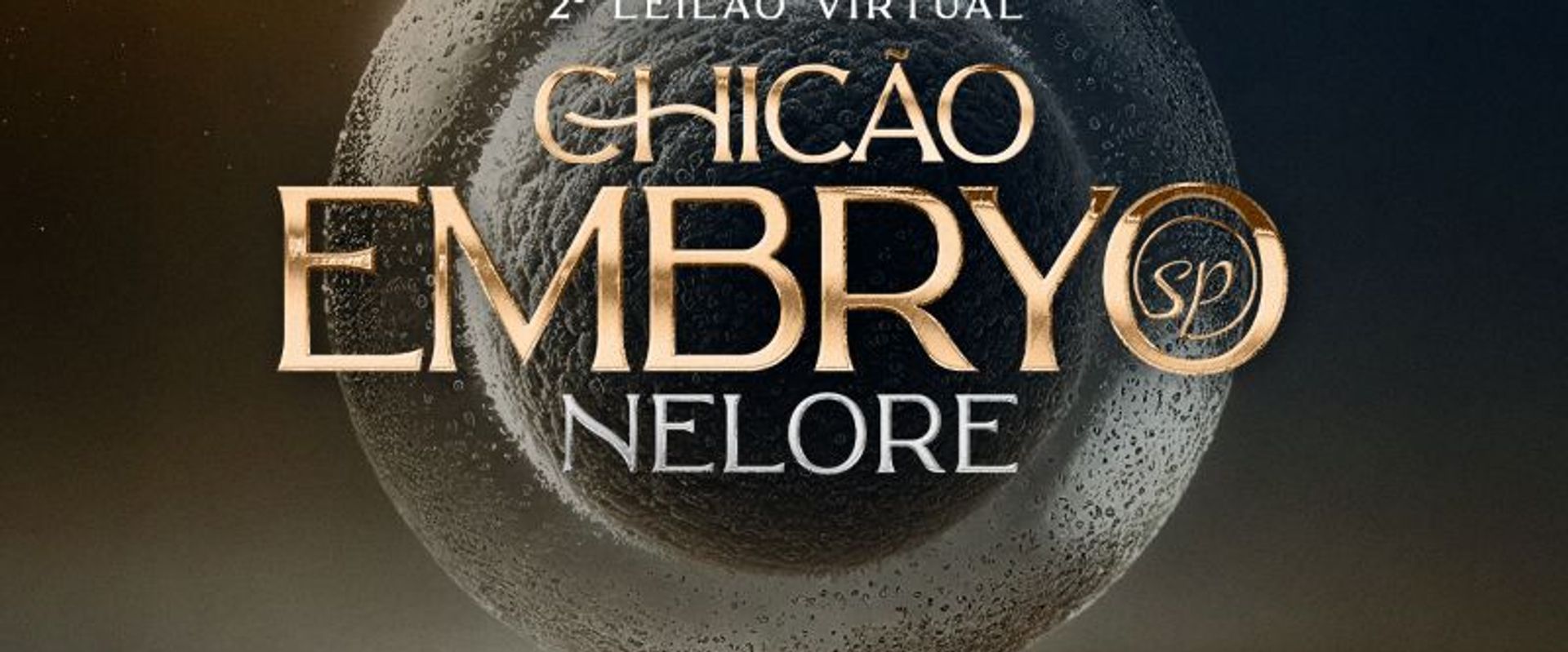 2º Leilão Virtual Chicão Embryo Nelore