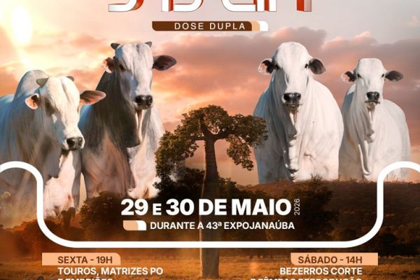 11º Leilão Fazenda Sisan - Dose Dupla