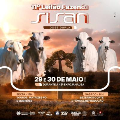 11º Leilão Fazenda Sisan - Dose Dupla - Foto 1