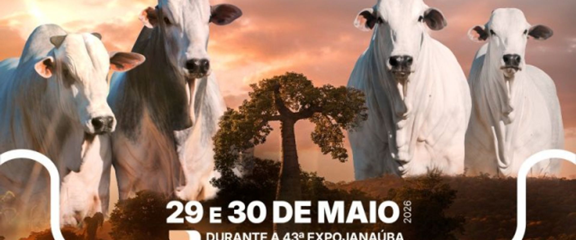 11º Leilão Fazenda Sisan - Dose Dupla