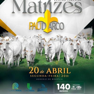Leilão Virtual Matrizes Pau D'arco - Foto 1