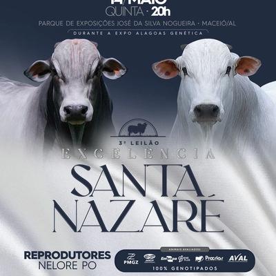 3º Leilão Excelência Santa Nazaré  - Foto 1