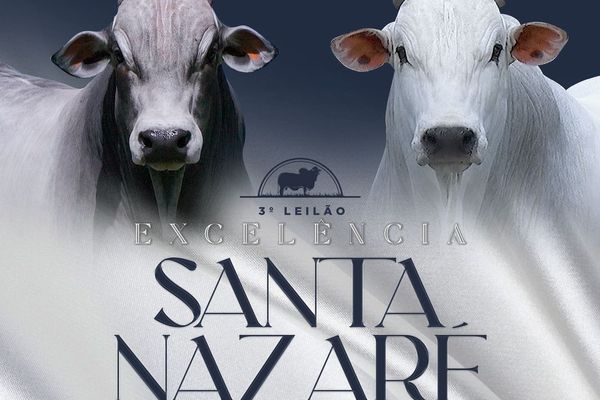 3º Leilão Excelência Santa Nazaré 