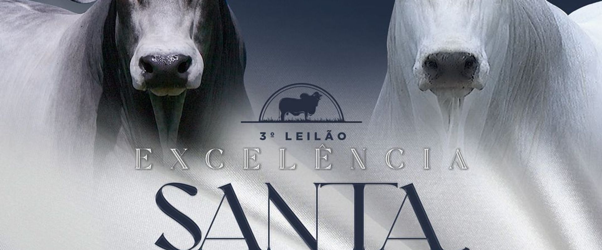 3º Leilão Excelência Santa Nazaré 
