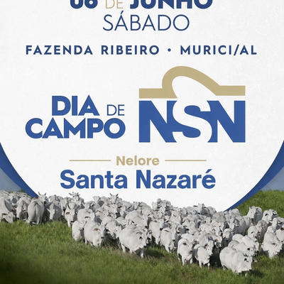 Dia de Campo Nelore Santa Nazaré  - Foto 1