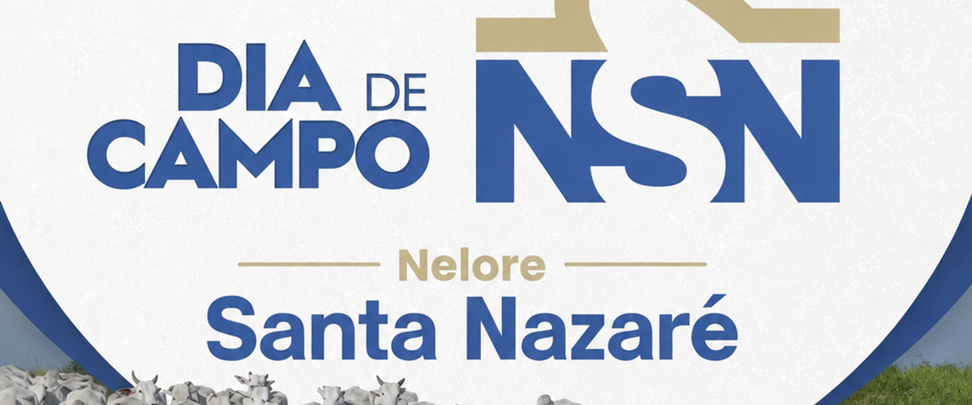 Dia de Campo Nelore Santa Nazaré 
