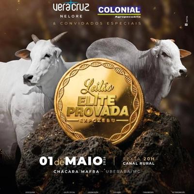 Leilão Elite Provada - Expozebu 2026 - Foto 1