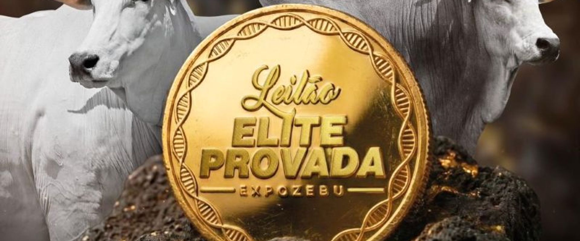 Leilão Elite Provada - Expozebu 2026