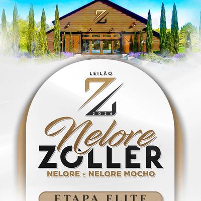 Leilão Nelore Zoller - Genética - Foto 3