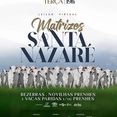 Leilão Virtual Matrizes Santa Nazaré  - Foto 1
