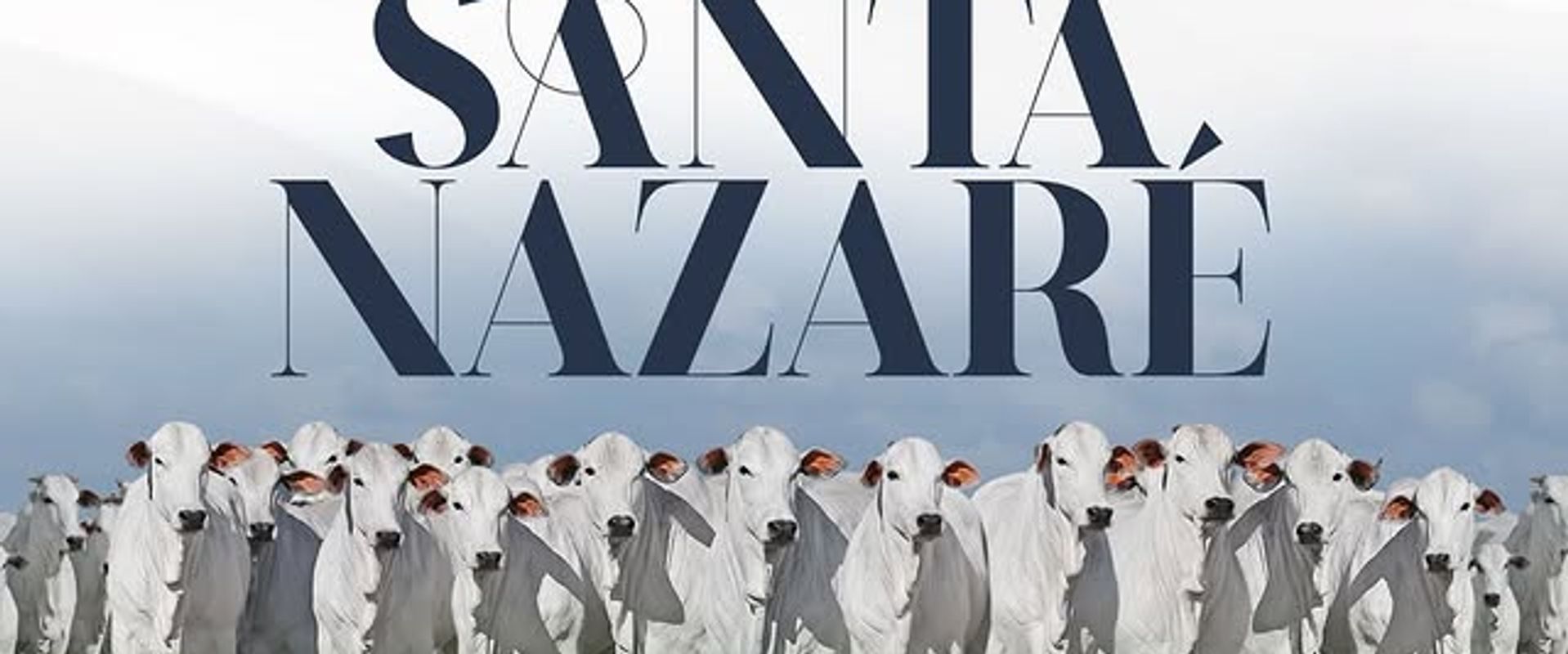 Leilão Virtual Matrizes Santa Nazaré 