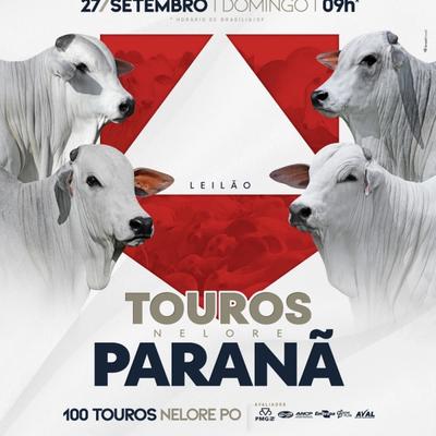 Leilão Touros Nelore Paranã - Foto 1