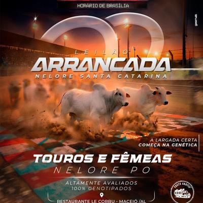 Leilão Arrancada - Nelore Santa Catarina - Foto 1