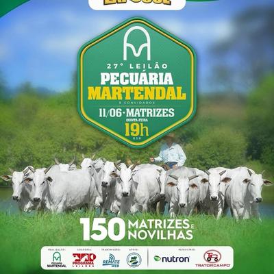 27º Leilão Pecuária Martendal & Convidados - Foto 1