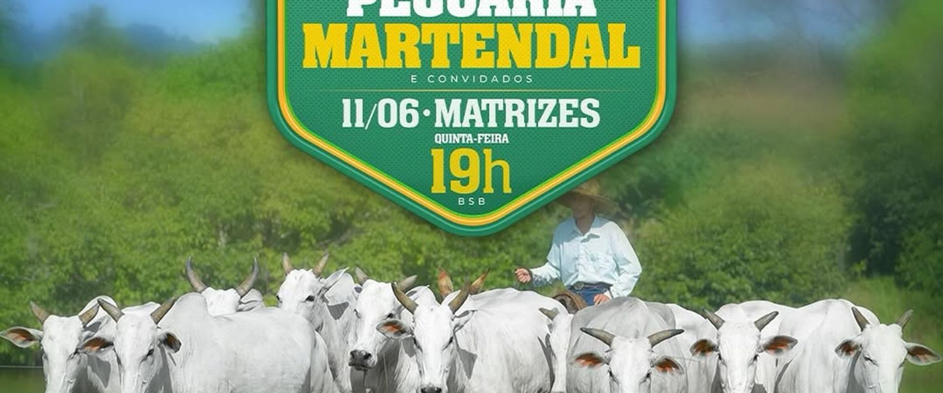 27º Leilão Pecuária Martendal & Convidados