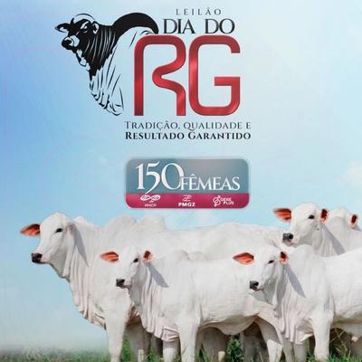 Leilão Virtual Dia do RG - Etapa Fêmeas - Foto 2