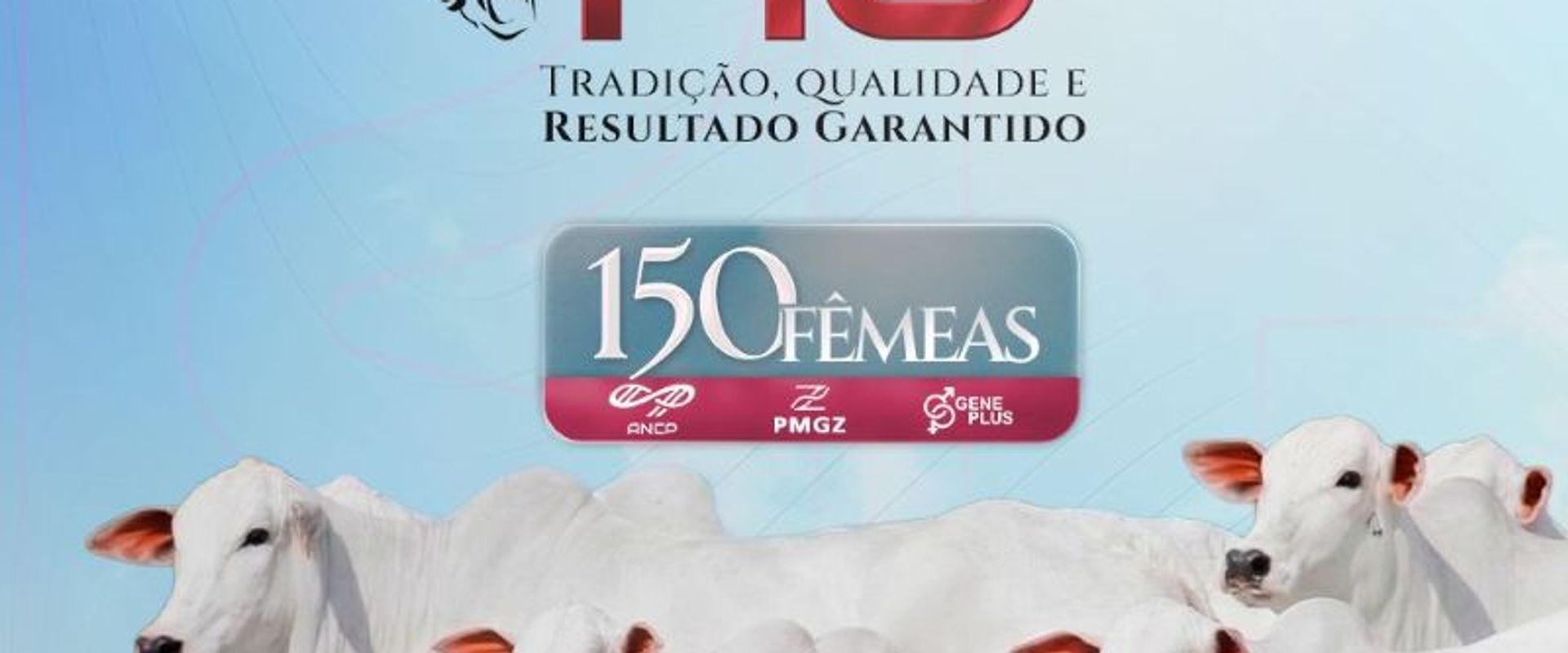 Leilão Virtual Dia do RG - Etapa Fêmeas