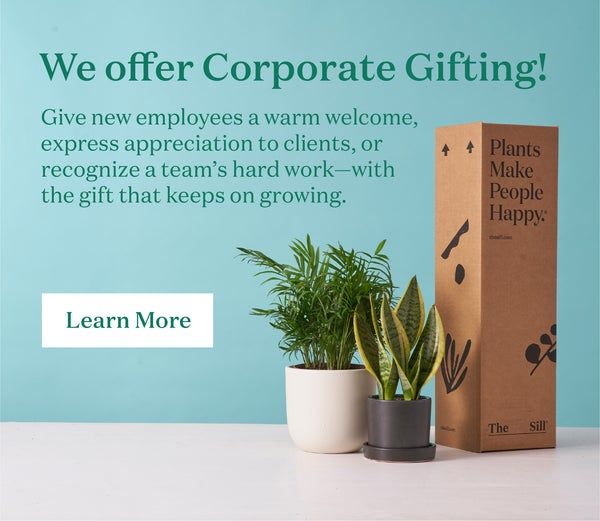 Corporate Gifting: A Marketing Strategy To Delight Clients & Employees -  Global Brands Magazine