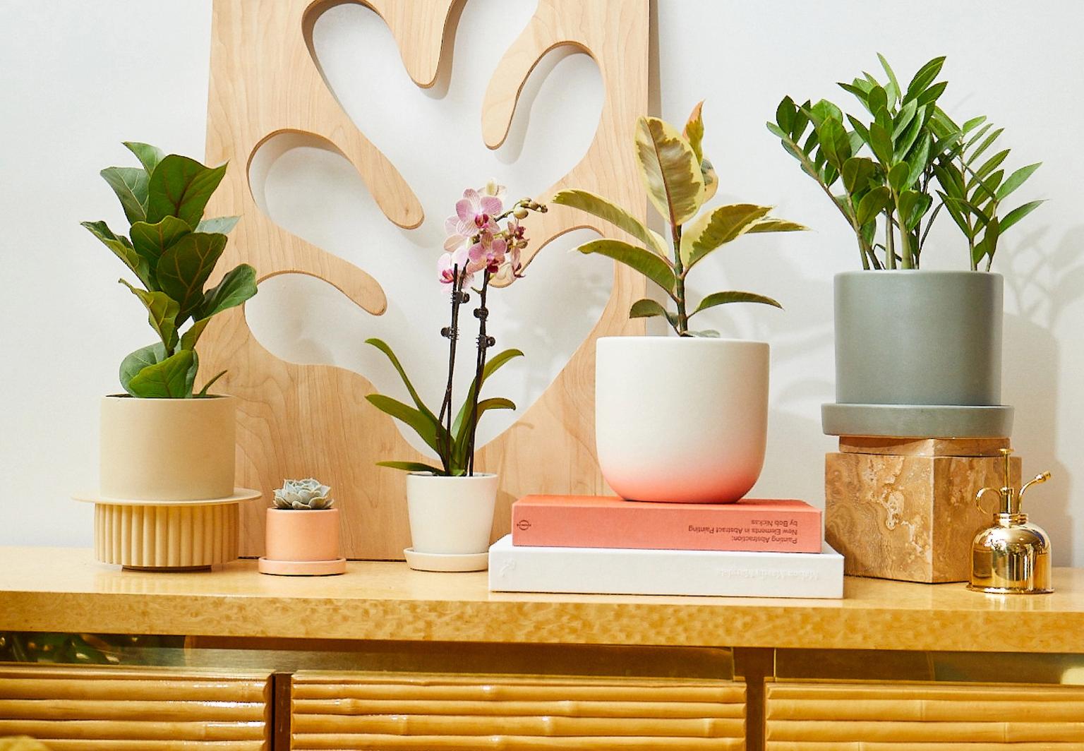 Planters, Plant Stands, and Pots | The Sill