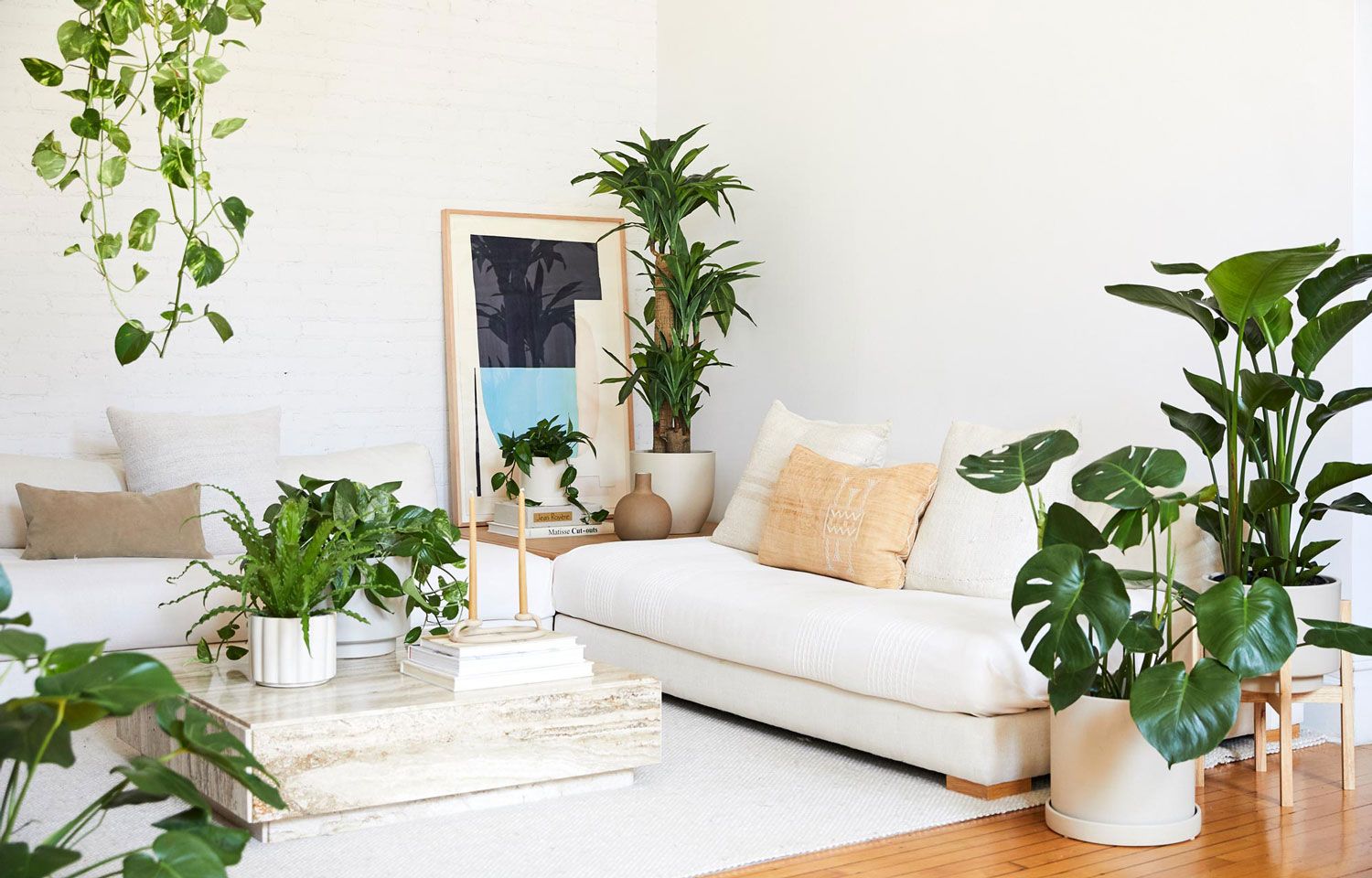 How to Style Your House Plants with Moss - J. Cathell